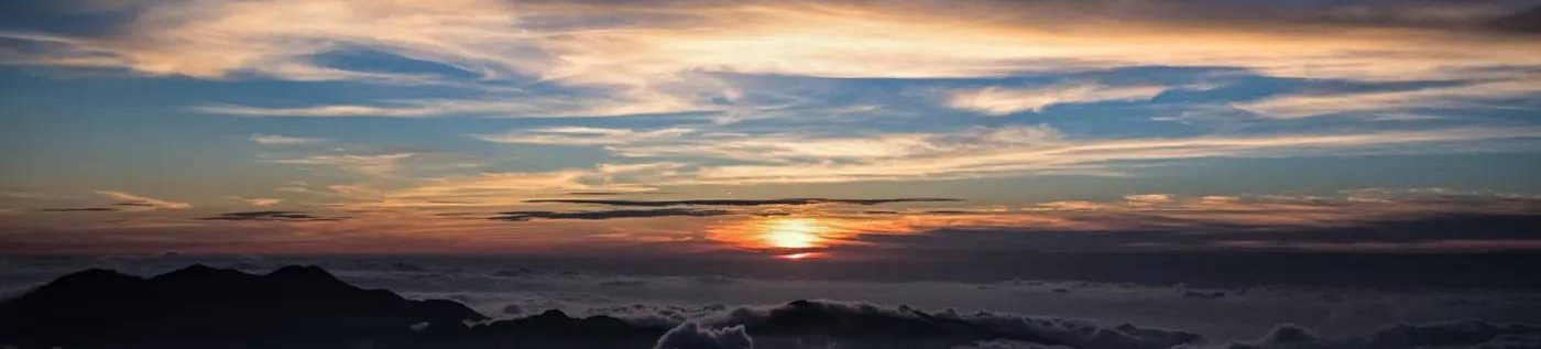 ドリーム  ライン